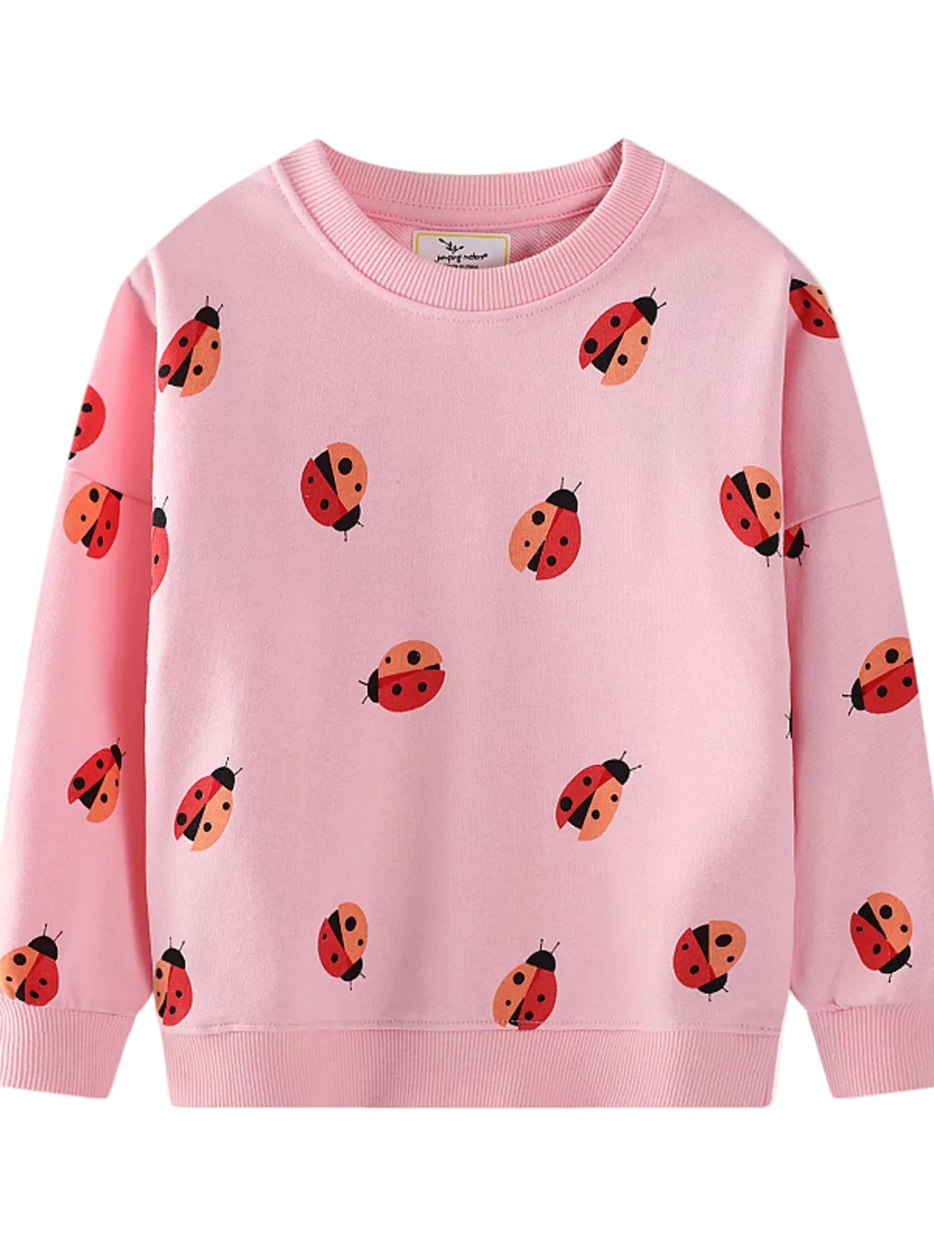 Little Lovebug Crewneck Sweatshirt on white backgroung
